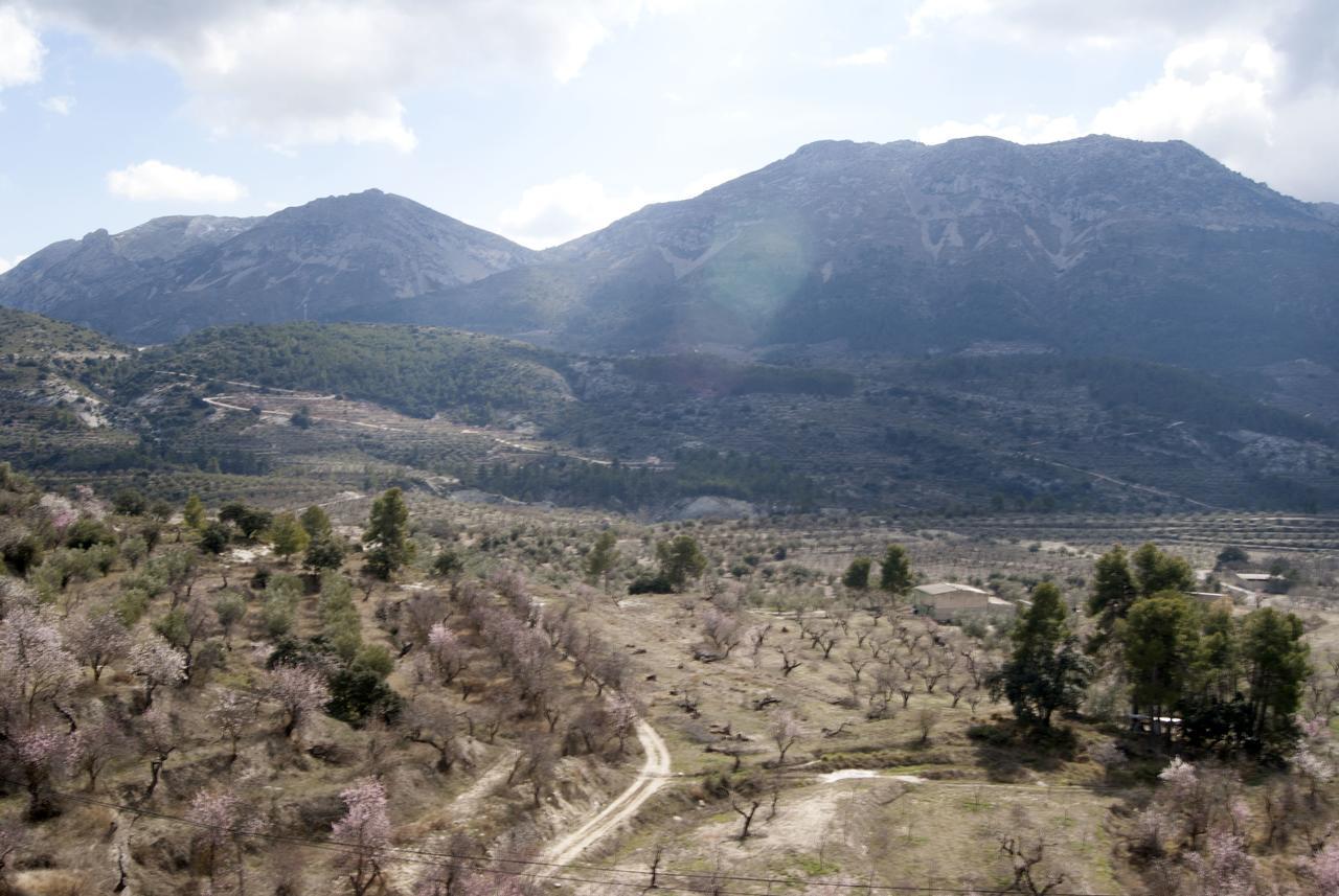 Hotel Rural Valhalla Benimassot Dış mekan fotoğraf