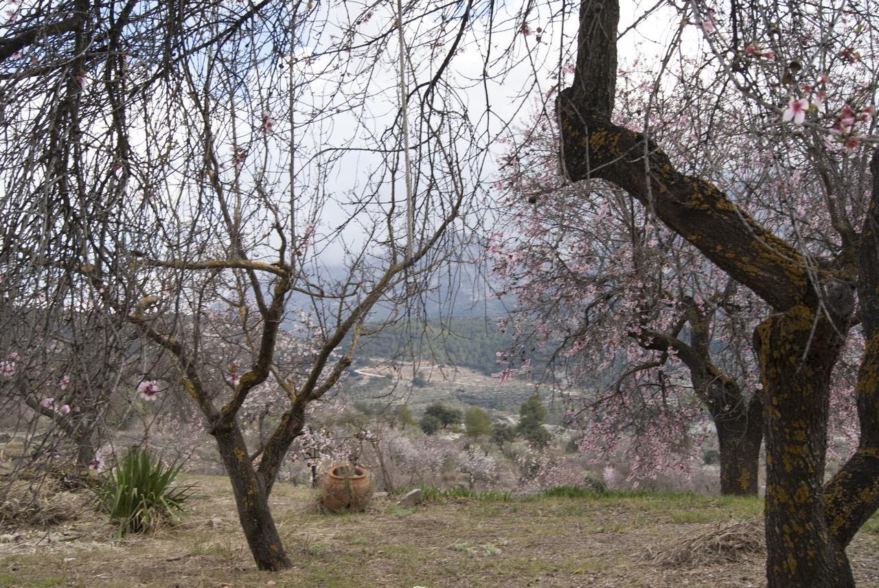 Hotel Rural Valhalla Benimassot Dış mekan fotoğraf