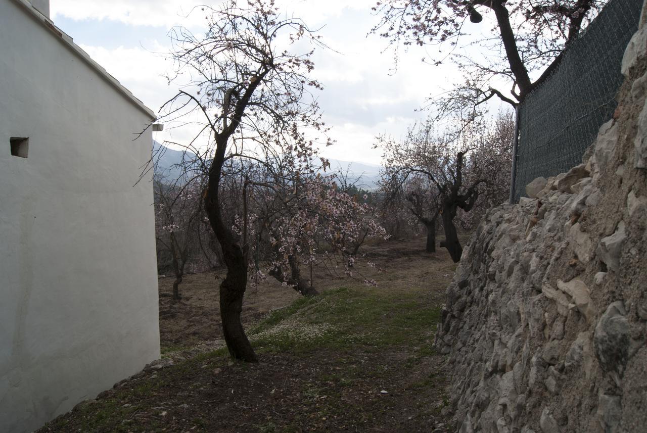 Hotel Rural Valhalla Benimassot Dış mekan fotoğraf